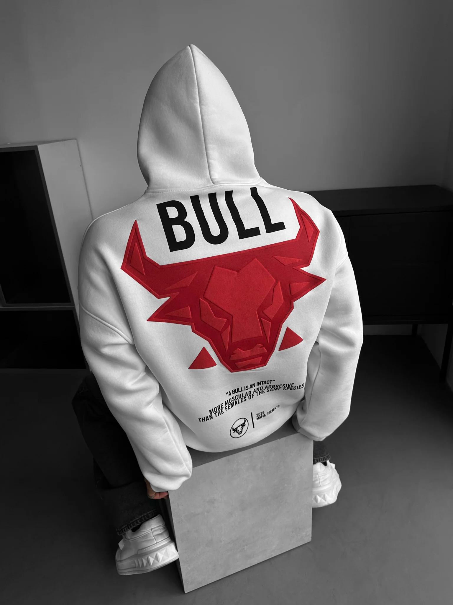 Oversize Bull Hoodie - Off White - Image 2