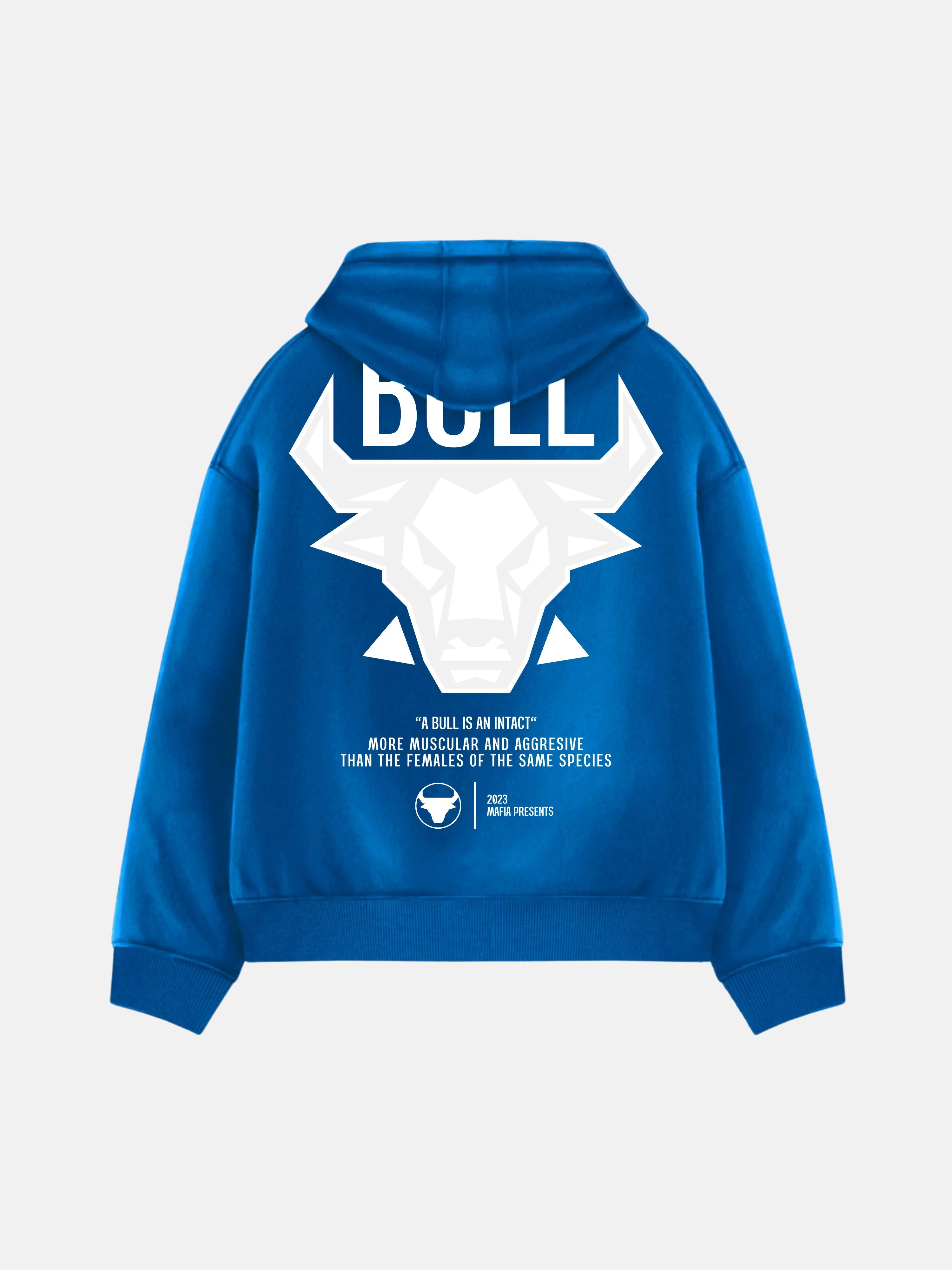 Oversize Bull Hoodie - Saks - Image 2