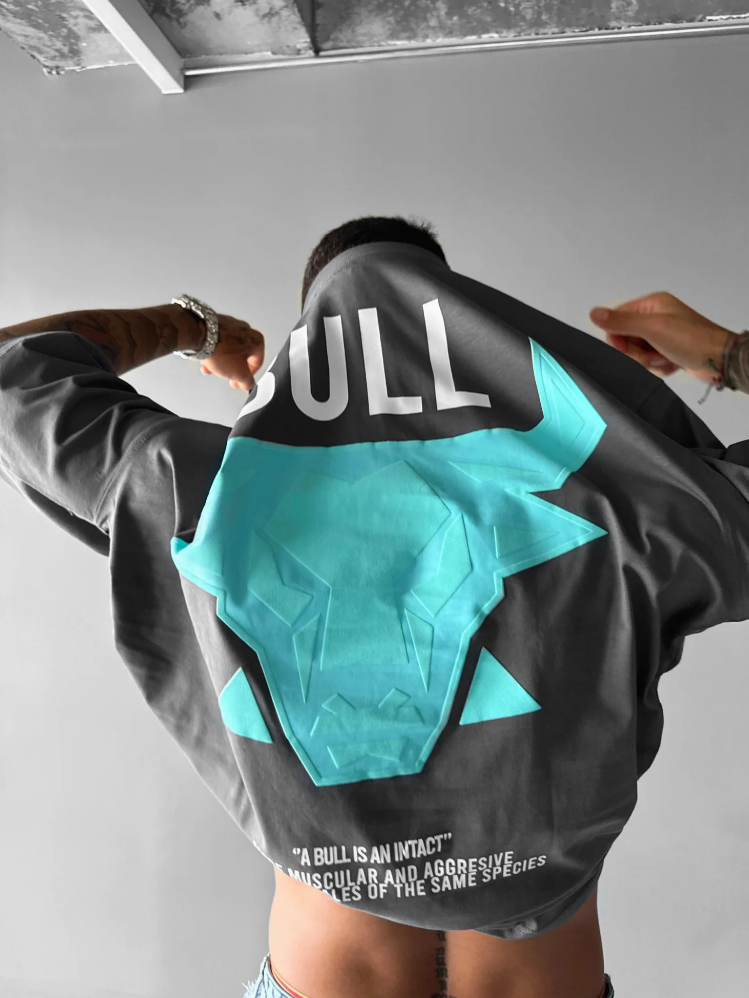 Oversize Bull T-shirt - Anthracite - Image 4