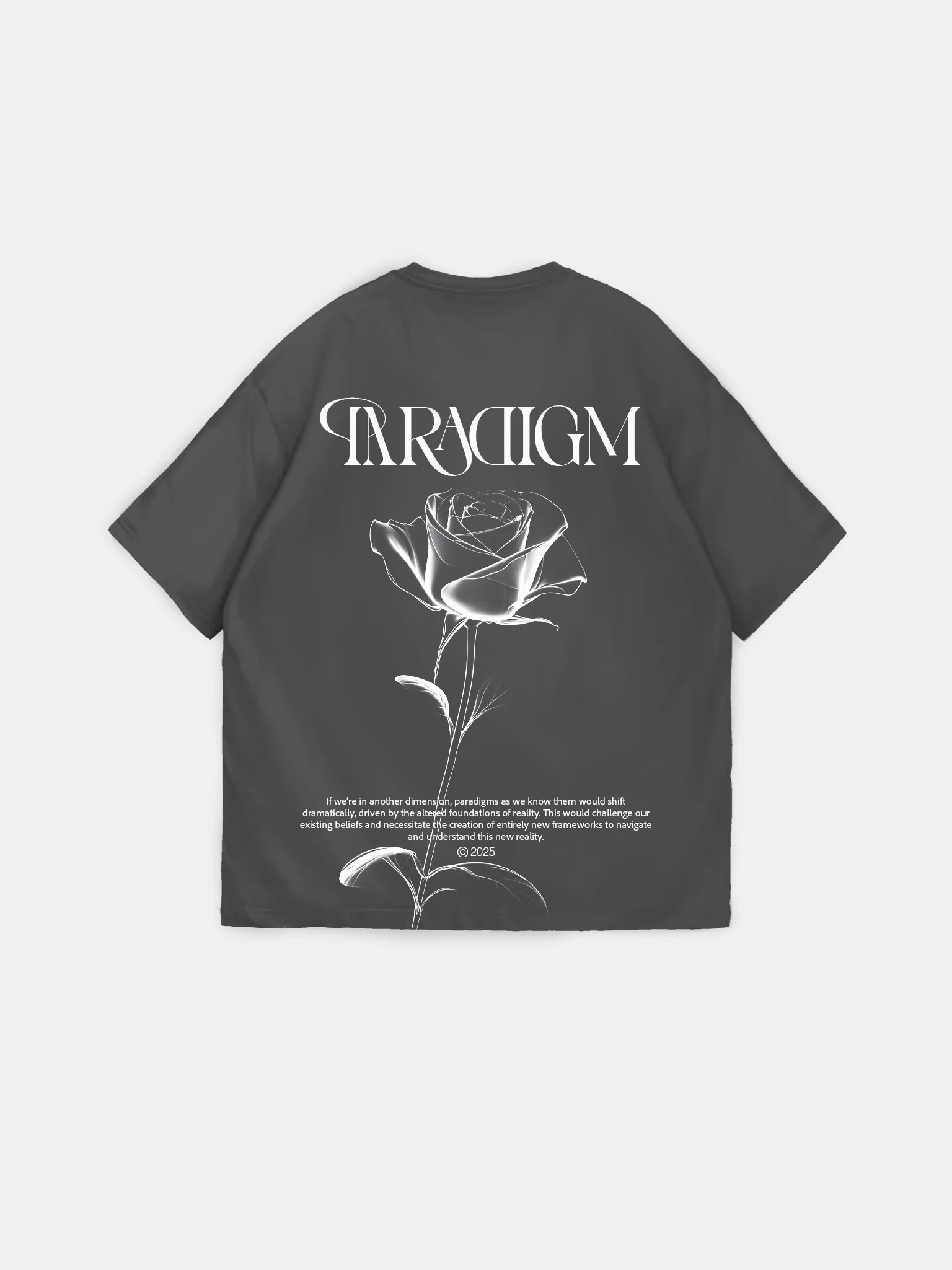 Oversize Paradigm T-Shirt - Anthracite - Image 6